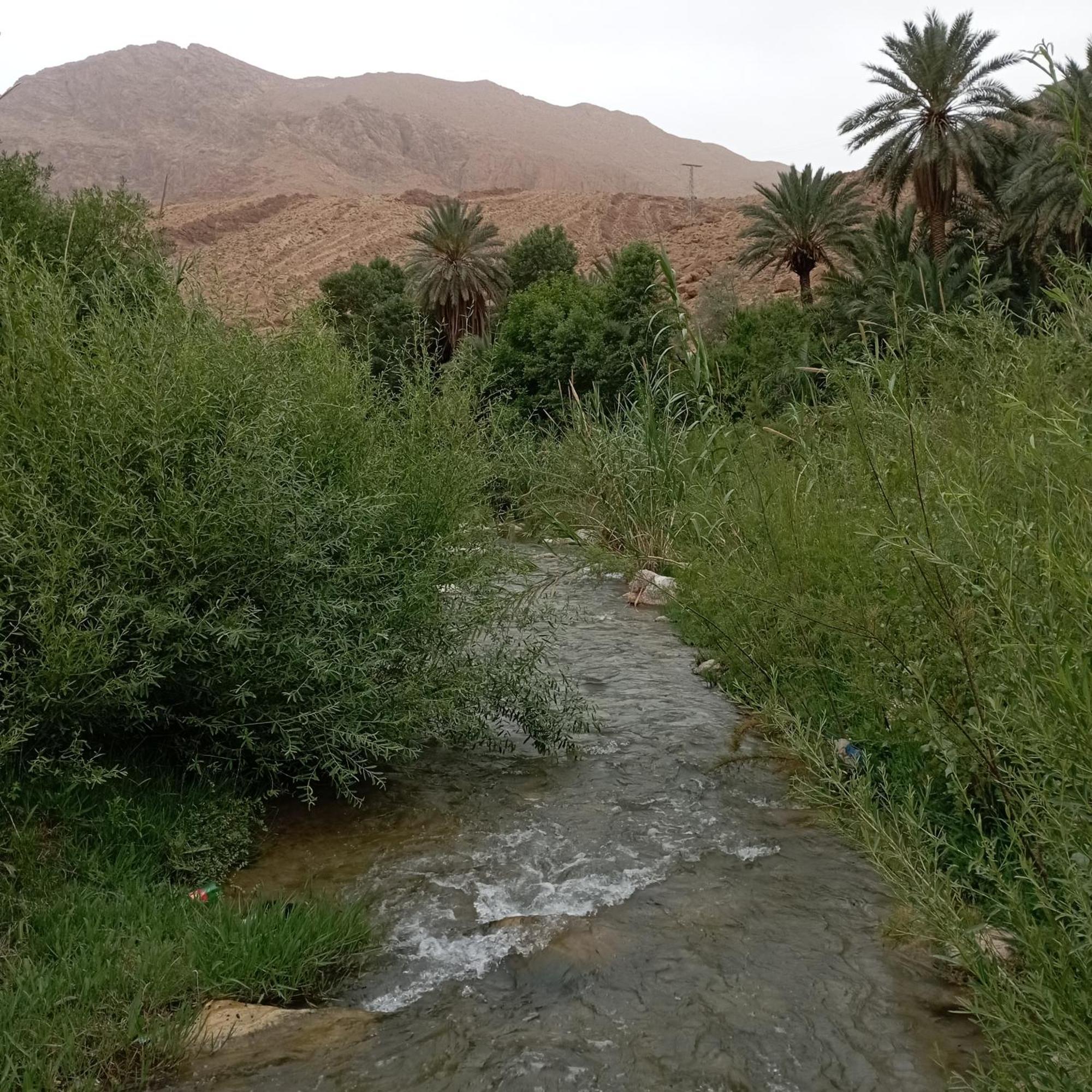 Riad La Fleur Aït Baha Pokój zdjęcie