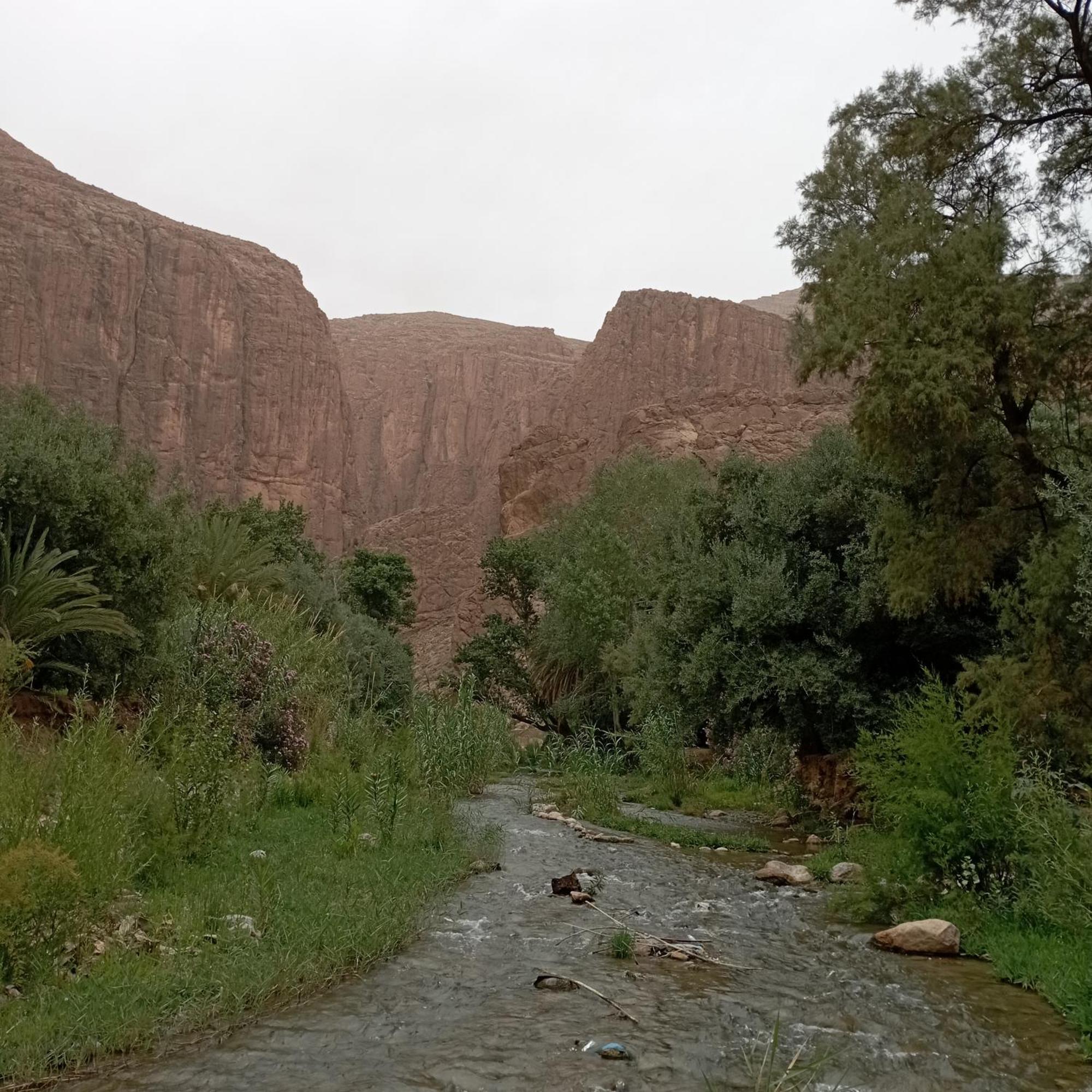 Riad La Fleur Aït Baha Pokój zdjęcie